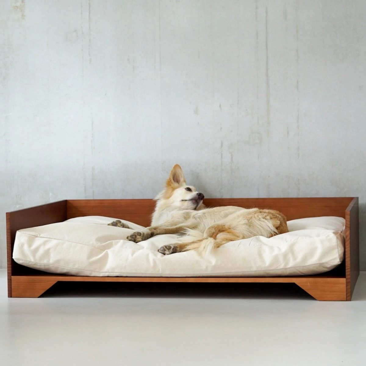 STUDIO ANIMAUX Hondenmand Met Katoenen Kussen (maat L) | 119 X 76,5 Cm | Hondenbed | Hondensofa | Hondenbank | Hout | Bruin 7 STUDIO ANIMAUX Hondenmand Met Katoenen Kussen (maat L) | 119 X 76,5 Cm | Hondenbed | Hondensofa | Hondenbank | Hout | Bruin - Afbeelding 7