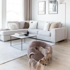 District 70 FUZZ - Hondenmand Comfortabel En Zacht Pluche - Zand, Oudroze, Donkergrijs En Lichtgrijs In S/M/L/XL - Maat: Medium, Kleur: Zand -Hondenartikelen Winkel 1200x1200 772