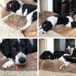 Snoozle Donut Hondenmand - Zacht En Luxe Hondenkussen - Wasbaar - Fluffy - Hondenmanden - 80cm - Creme Bruin 10 Snoozle Donut Hondenmand - Zacht En Luxe Hondenkussen - Wasbaar - Fluffy - Hondenmanden - 80cm - Creme Bruin -Hondenartikelen Winkel 1200x1200 787