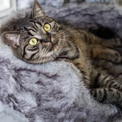 District 70 NORDIC - Luxe Kattenmand Op Pootjes - 40x30x25cm In Silver - Silver -Hondenartikelen Winkel 1200x1200 817