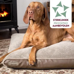 Scruffs Chateau - Hondenbed Orthopedisch Met Memory Foam Voor Extra Steun Voor Rug En Gewrichten - Grijs & Bruin Maat M/L - Kleur: Grijs, Maat: Large 22 Scruffs Chateau - Hondenbed Orthopedisch Met Memory Foam Voor Extra Steun Voor Rug En Gewrichten - Grijs & Bruin Maat M/L - Kleur: Grijs, Maat: Large -Hondenartikelen Winkel 1200x1200 826