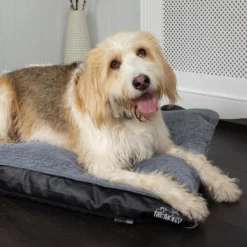 Scruffs Chateau - Hondenbed Orthopedisch Met Memory Foam Voor Extra Steun Voor Rug En Gewrichten - Grijs & Bruin Maat M/L - Kleur: Grijs, Maat: Large 36 Scruffs Chateau - Hondenbed Orthopedisch Met Memory Foam Voor Extra Steun Voor Rug En Gewrichten - Grijs & Bruin Maat M/L - Kleur: Grijs, Maat: Large -Hondenartikelen Winkel 1200x1200 831