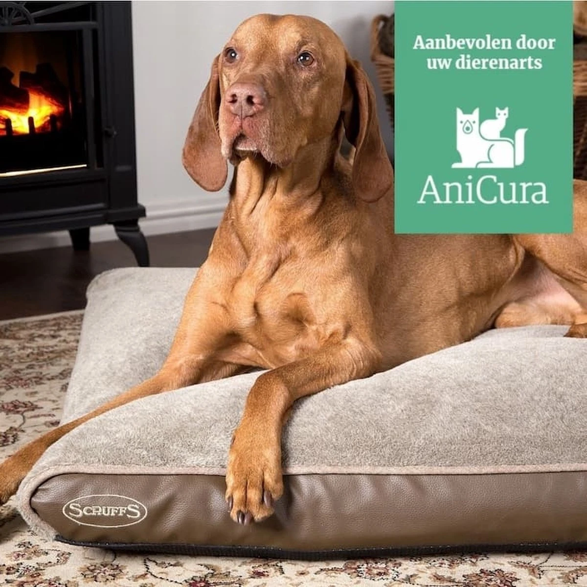 Scruffs Chateau - Hondenbed Orthopedisch Met Memory Foam Voor Extra Steun Voor Rug En Gewrichten - Grijs & Bruin Maat M/L - Kleur: Grijs, Maat: Large 19 Scruffs Chateau - Hondenbed Orthopedisch Met Memory Foam Voor Extra Steun Voor Rug En Gewrichten - Grijs & Bruin Maat M/L - Kleur: Grijs, Maat: Large - Afbeelding 19