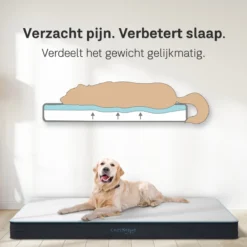 CozySense® - Orthopedisch Hondenkussen - Hondenkussen 100 X 70 Cm - Geschikt Als Benchkussen & Hondenbed - Hondenkussen Bank - Traagschuim - Waterdicht - Wasbare Hoes - Maat XL -Hondenartikelen Winkel 1200x1200 836
