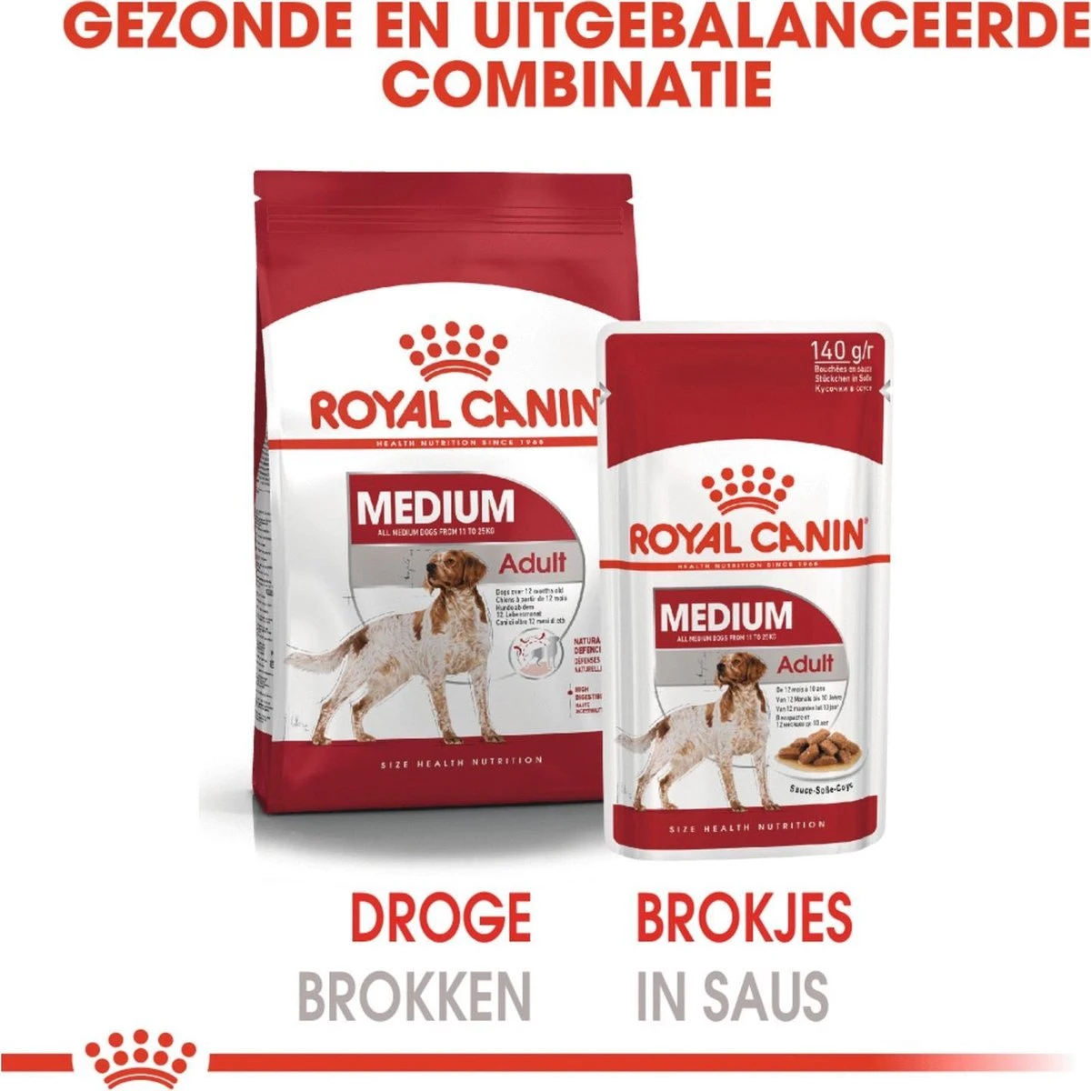 Royal Canin Shn Medium Adult Pouch - Hondenvoer - 10 X 140 G 4 Royal Canin Shn Medium Adult Pouch - Hondenvoer - 10 X 140 G - Afbeelding 4