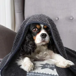 Nobleza 40UWK Hondendeken - Dierenmat - Benchkleed - 120x100cm - Grijs -Hondenartikelen Winkel 1200x1200 852