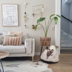 District 70 TUCK - Luxe & Comfortabele Mand Kleine Honden - Terra, Donkergrijs & Zand - 50x50x30 Cm - Zand -Hondenartikelen Winkel 1200x1200 914