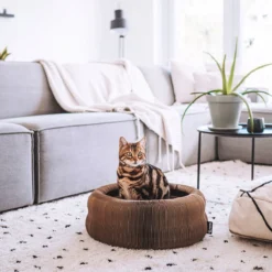 District 70 MAZE 3-in-1 Opvouwbare Kartonnen Kattenmand - Inclusief Catnip Balletje - Voor Slapen, Spelen En Krabben! -Hondenartikelen Winkel 1200x1200 940