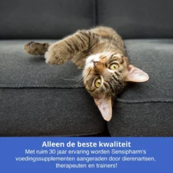 Sensipharm Bitterspray Anti Bijt Spray - Hond, Kat, Konijn & Vogel - Bitter Anti Kauw Knabbel Knaag - 100 Ml -Hondenartikelen Winkel 1200x1200 970