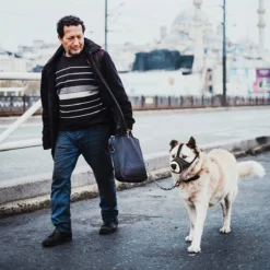 Merkloos Hoog Kwaliteit Muilkorf Met Bedrukt Patroon - Muilkorf Hond - Hondensnuit - Anti Blaf En Bijt - Voor Kleine En Grote Honden Maat M Zwart Reflecterend -Hondenartikelen Winkel 1200x1200 990