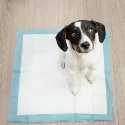 Springos Puppy Training Pads| Plasmatjes Hond | Zindelijkheidstraining | 10 Stuks | 35 X 45 Cm -Hondenartikelen Winkel 1200x1200 999