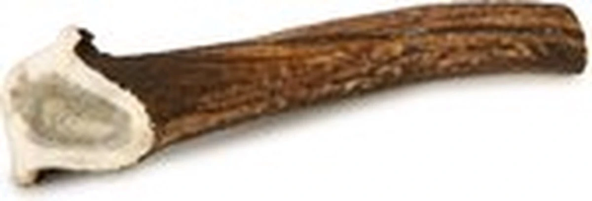 Topdiervoeding Hertengewei Voor Honden -maat XXL - 360-400 Gram 2 Topdiervoeding Hertengewei Voor Honden -maat XXL - 360-400 Gram - Afbeelding 2