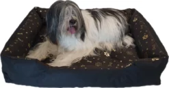 Beste Prijs - Hondenmand Met 2 Kussentjes - 100 Cm X 70 Cm - Dierenmand - Hondenbed - Waterproof - Anti Allergisch 5 Beste Prijs - Hondenmand Met 2 Kussentjes - 100 Cm X 70 Cm - Dierenmand - Hondenbed - Waterproof - Anti Allergisch -Hondenartikelen Winkel 1200x626 7