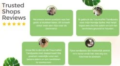 TraumaPet Tandpasta Met Colloïdaal Zilver Voor Dieren | Met Vleessmaak | Bij Stinkende Adem | Tandplak | Geïrriteerd Tandvlees | Tandsteen -Hondenartikelen Winkel 1200x666 2