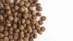 Carocroc Small Breed 25/16 - Hondenvoer - 15 Kg -Hondenartikelen Winkel 1200x675 1