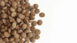 Carocroc Original 23/12 Hondenvoer - 3 Kg -Hondenartikelen Winkel 1200x675