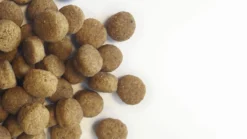 Carocroc Superior L/R Diet - Hondenvoer - 15 Kg 12 Carocroc Superior L/R Diet - Hondenvoer - 15 Kg -Hondenartikelen Winkel 1200x675 3