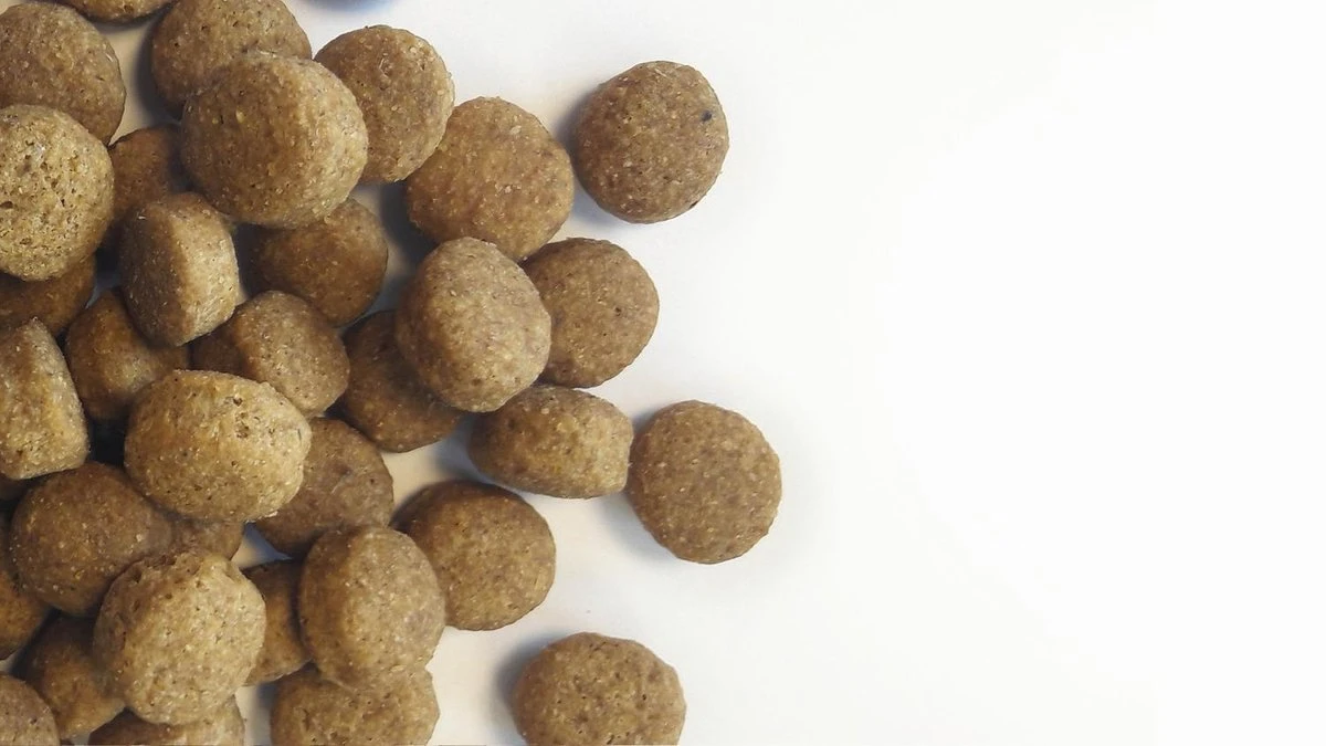 Carocroc Superior L/R Diet - Hondenvoer - 15 Kg 5 Carocroc Superior L/R Diet - Hondenvoer - 15 Kg - Afbeelding 5