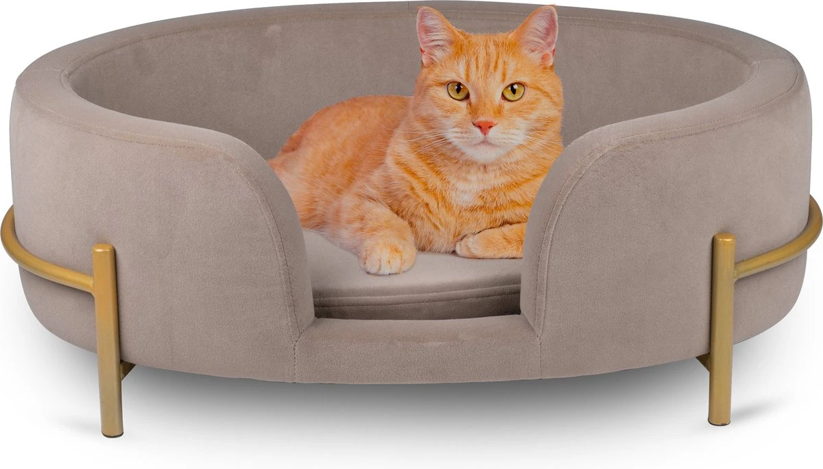 Maxxpro Pet Bed - Huisdieren Tot 80KG - Zacht Fluwelen Kussen - Verhoogd Katten- En Hondenbed - Grijs - 60,5 X 40,5 X 23,5 Cm 1 Maxxpro Pet Bed - Huisdieren Tot 80KG - Zacht Fluwelen Kussen - Verhoogd Katten- En Hondenbed - Grijs - 60,5 X 40,5 X 23,5 Cm