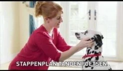 Beaphar Tandenborstel -Hondenartikelen Winkel 1200x697 5