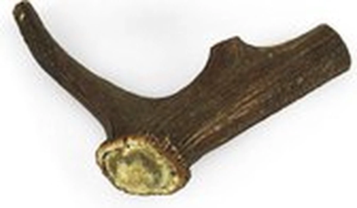 Topdiervoeding Hertengewei Voor Honden -maat XXL - 360-400 Gram 1 Topdiervoeding Hertengewei Voor Honden -maat XXL - 360-400 Gram