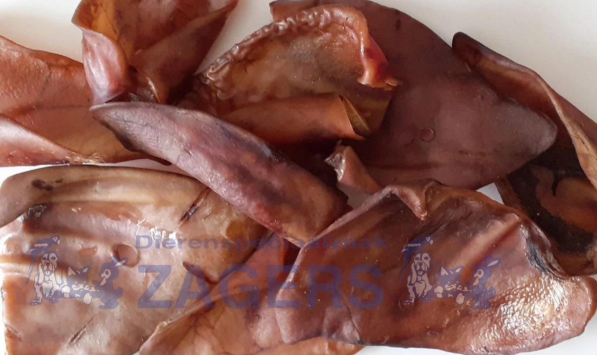 Varkensoren 100 Stuks 1 Varkensoren 100 Stuks