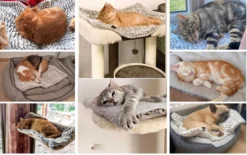 Merkloos Zelfverwarmende Dierendeken Zonder Stroom Thermo Deken Hond Kat Inclusief Adreslabel 70 X 47 Cm -Hondenartikelen Winkel 1200x751 2