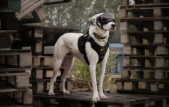 Always Prepared © Pro K9 Hondentuig - Anti Trek - Y Tuig - Middel En Grote Hond - Veiligheidstuig -Hondenartikelen Winkel 1200x761 6