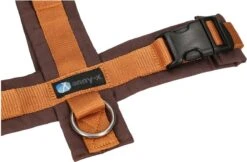 Anny.X Hondentuig Y Tuig Bruin Barnsteen Maat L Geschikt Voor Borstomvang 70-86cm 10 Anny.X Hondentuig Y Tuig Bruin Barnsteen Maat L Geschikt Voor Borstomvang 70-86cm -Hondenartikelen Winkel 1200x789 4