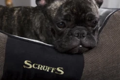 Hondenmand Zacht En Stevig, Anti-Slip En Wasbaar - Scruffs Chester Box Bed - In Grijs En Bruin In Maat S Tot XL - Kleur: Grijs, Maat: Large -Hondenartikelen Winkel 1200x799 35