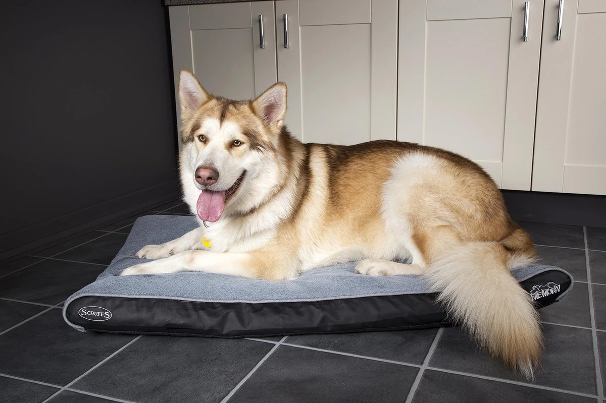 Scruffs Chateau - Hondenbed Orthopedisch Met Memory Foam Voor Extra Steun Voor Rug En Gewrichten - Grijs & Bruin Maat M/L - Kleur: Grijs, Maat: Large 20 Scruffs Chateau - Hondenbed Orthopedisch Met Memory Foam Voor Extra Steun Voor Rug En Gewrichten - Grijs & Bruin Maat M/L - Kleur: Grijs, Maat: Large - Afbeelding 20