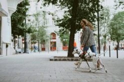 Julius K9 Julius-K9 IDC®Powertuig, M - Maat 0, Zwart -Hondenartikelen Winkel 1200x799 79