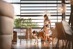 Julius K9 Julius-K9 IDC®Powertuig, XL - Maat 2, Zwart 19 Julius K9 Julius-K9 IDC®Powertuig, XL - Maat 2, Zwart -Hondenartikelen Winkel 1200x799 84