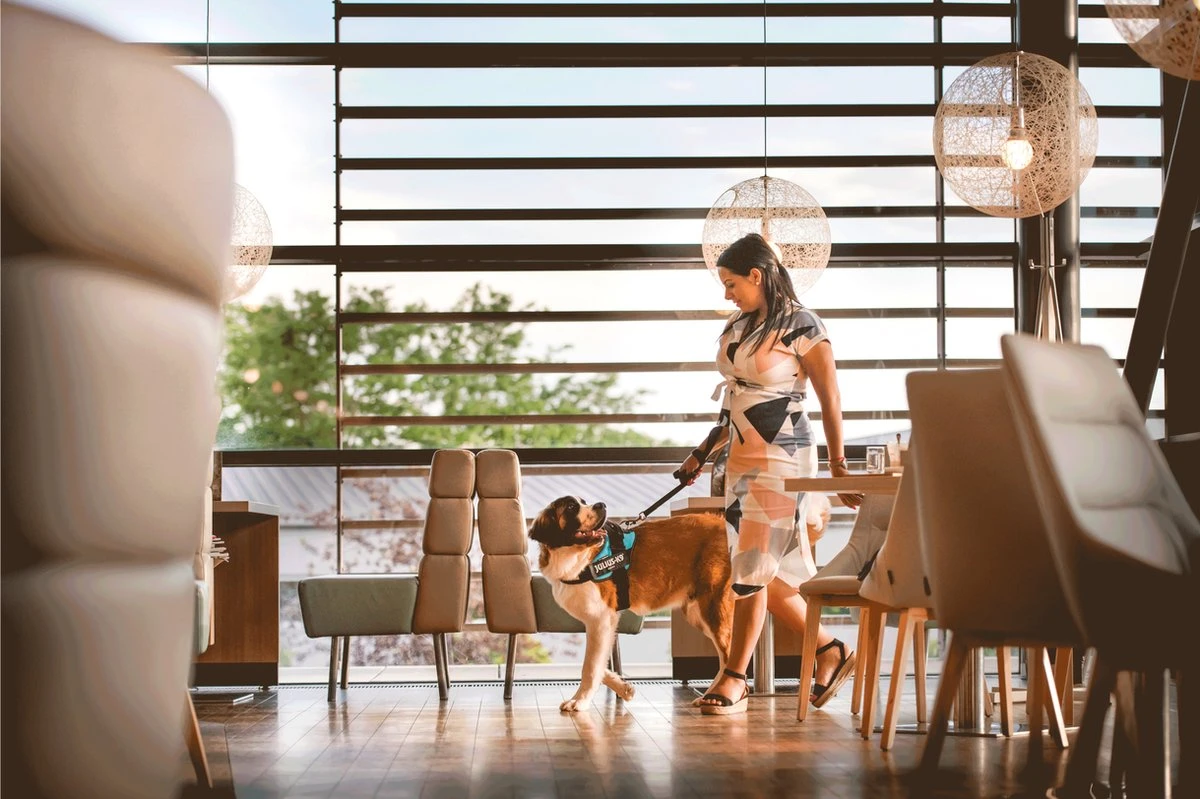 Julius K9 Julius-K9 IDC®Powertuig, XL - Maat 2, Zwart 5 Julius K9 Julius-K9 IDC®Powertuig, XL - Maat 2, Zwart - Afbeelding 5