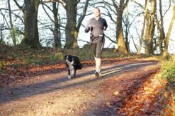 Trixie Heupriem Met Jogginglijn Zwart - RIEM 60-120 CM LIJN 100-135 CM 14 Trixie Heupriem Met Jogginglijn Zwart - RIEM 60-120 CM LIJN 100-135 CM -Hondenartikelen Winkel 1200x800 120