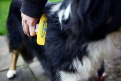 Furminator® Hond Langhaar - Vermindert Haaruitval Tot 90% - Hondenborstel - L -Hondenartikelen Winkel 1200x800 128