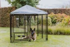 MaxxPet Hondenkennel - Hondenkennel Met Afneembaar Dak - Geschikt Voor Buiten En Binnen - 142 X 142 X 153 Cm 10 MaxxPet Hondenkennel - Hondenkennel Met Afneembaar Dak - Geschikt Voor Buiten En Binnen - 142 X 142 X 153 Cm -Hondenartikelen Winkel 1200x800 142