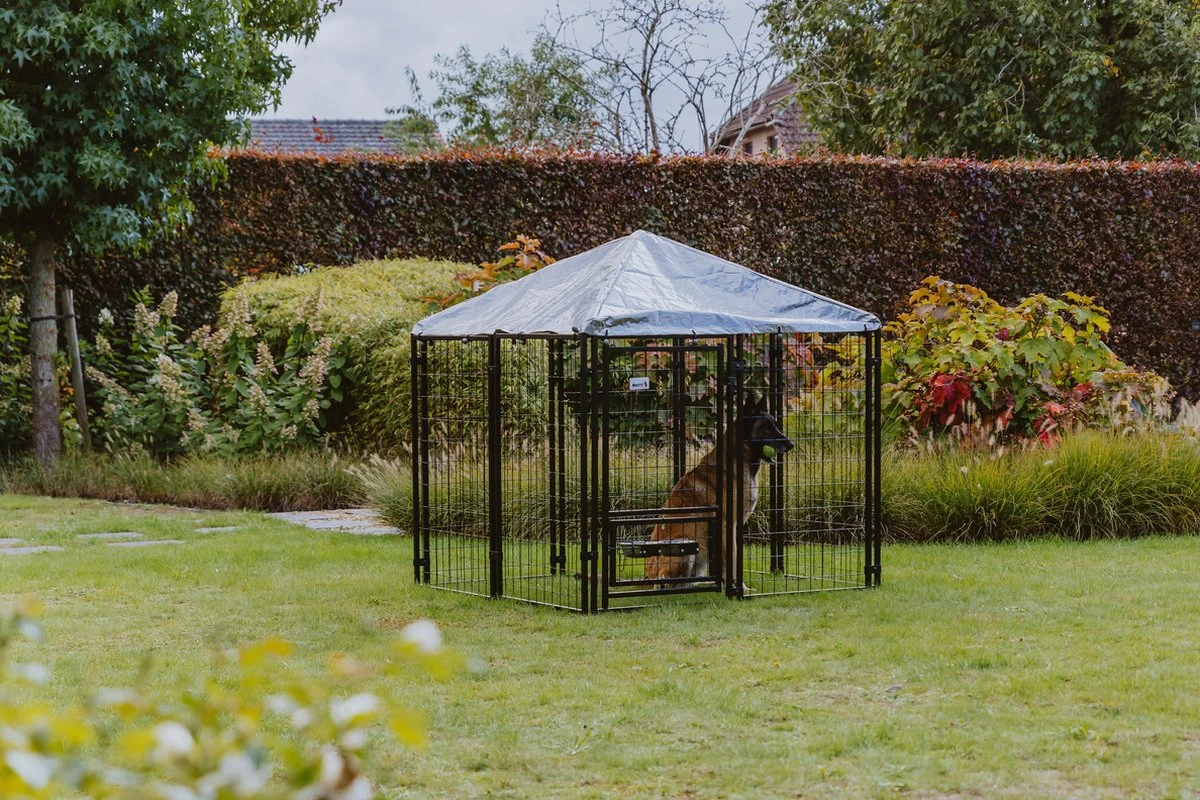 MaxxPet Hondenkennel - Hondenkennel Met Afneembaar Dak - Geschikt Voor Buiten En Binnen - 142 X 142 X 153 Cm 6 MaxxPet Hondenkennel - Hondenkennel Met Afneembaar Dak - Geschikt Voor Buiten En Binnen - 142 X 142 X 153 Cm - Afbeelding 6