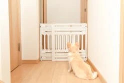 Iris Ohyama Huisdier Bariere PBR-600 - Kunststof - Wit/Beige - Uitschuifbaar -Hondenartikelen Winkel 1200x800 145