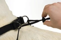 Beeztees Gentle Walker - Hondentuig - Zwart - L -Hondenartikelen Winkel 1200x800 150