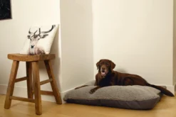 Beeztees Ruba - Orthopedisch Hondenkussen - Grijs - 100x70cm 6 Beeztees Ruba - Orthopedisch Hondenkussen - Grijs - 100x70cm -Hondenartikelen Winkel 1200x800 72