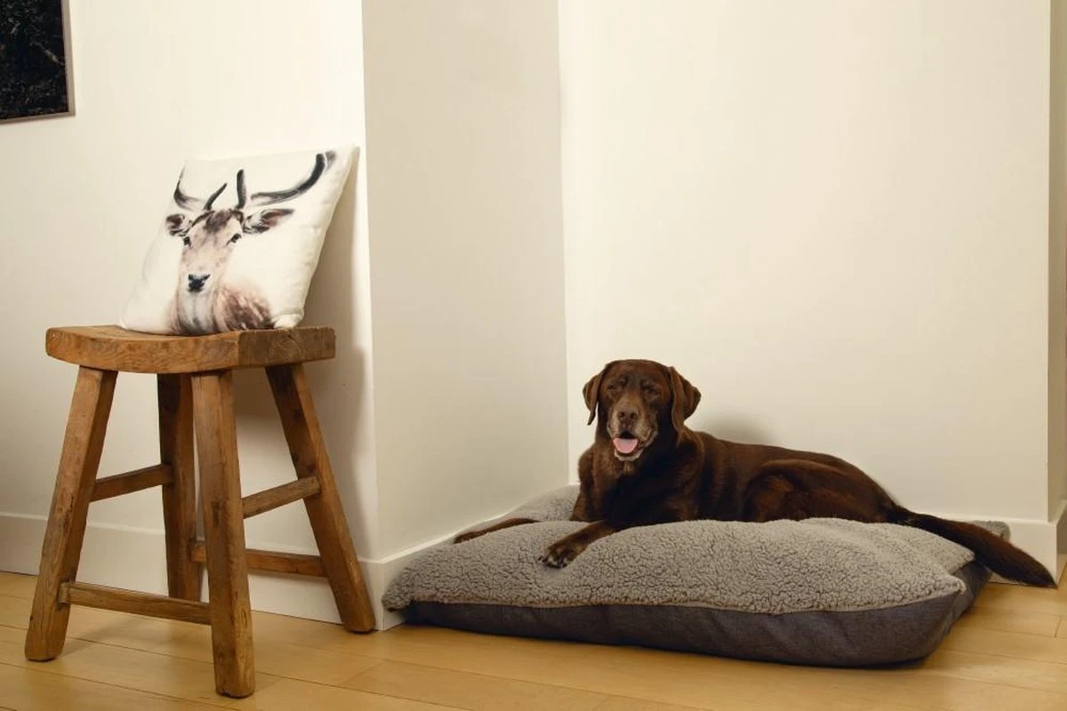 Beeztees Ruba - Orthopedisch Hondenkussen - Grijs - 100x70cm 3 Beeztees Ruba - Orthopedisch Hondenkussen - Grijs - 100x70cm - Afbeelding 3