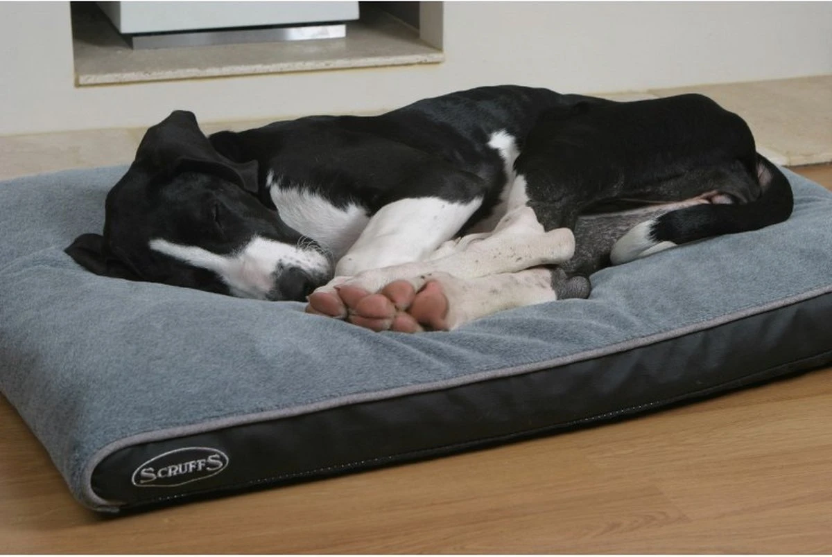 Scruffs Chateau - Hondenbed Orthopedisch Met Memory Foam Voor Extra Steun Voor Rug En Gewrichten - Grijs & Bruin Maat M/L - Kleur: Grijs, Maat: Medium 19 Scruffs Chateau - Hondenbed Orthopedisch Met Memory Foam Voor Extra Steun Voor Rug En Gewrichten - Grijs & Bruin Maat M/L - Kleur: Grijs, Maat: Medium - Afbeelding 19