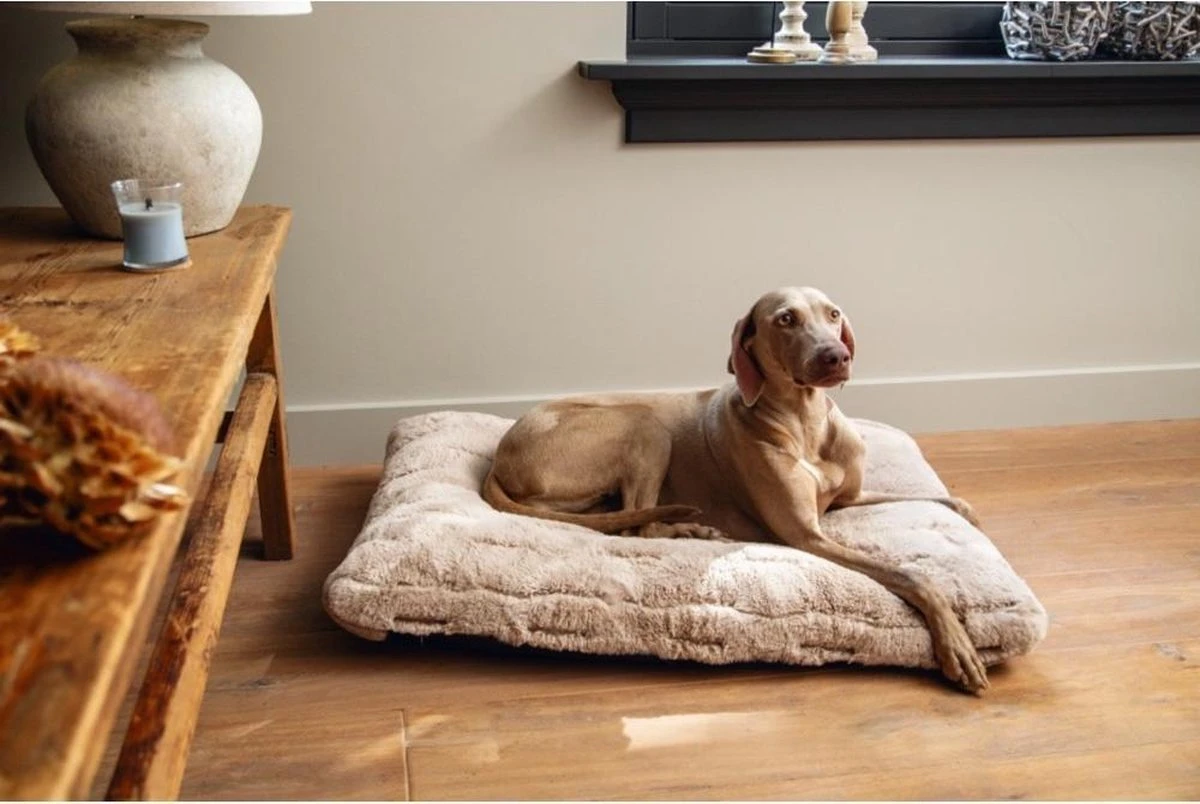 Designed By Lotte Hondenkussen Pluche Xanti Beige 70x 50 X 5 Cm 2 Designed By Lotte Hondenkussen Pluche Xanti Beige 70x 50 X 5 Cm - Afbeelding 2