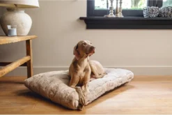 Designed By Lotte Hondenkussen Pluche Xanti Beige 70x 50 X 5 Cm 6 Designed By Lotte Hondenkussen Pluche Xanti Beige 70x 50 X 5 Cm -Hondenartikelen Winkel 1200x804 7