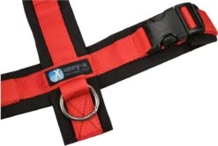 Annyx Hondentuig Harnas Zwart Rood - Y Model - Maat S Is Geschikt Voor Borstomvang 52-64cm. 10 Annyx Hondentuig Harnas Zwart Rood - Y Model - Maat S Is Geschikt Voor Borstomvang 52-64cm. -Hondenartikelen Winkel 1200x808 8