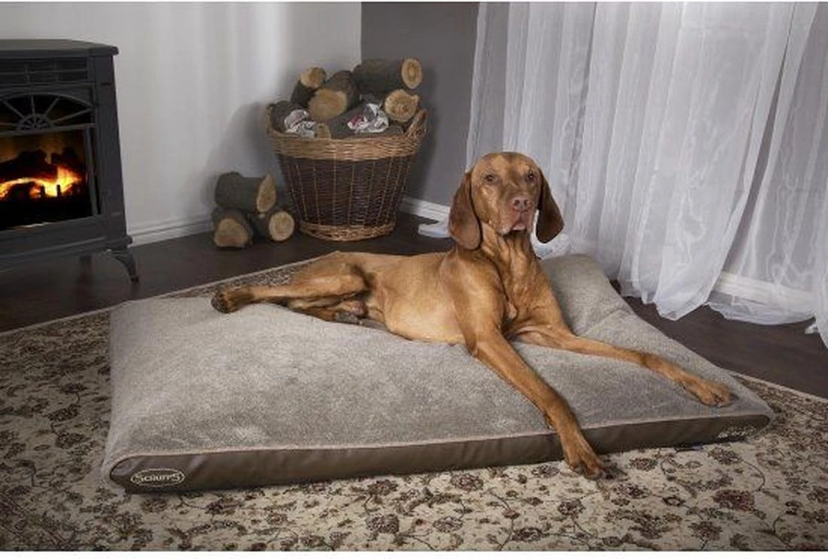 Scruffs Chateau - Hondenbed Orthopedisch Met Memory Foam Voor Extra Steun Voor Rug En Gewrichten - Grijs & Bruin Maat M/L - Kleur: Grijs, Maat: Medium 6 Scruffs Chateau - Hondenbed Orthopedisch Met Memory Foam Voor Extra Steun Voor Rug En Gewrichten - Grijs & Bruin Maat M/L - Kleur: Grijs, Maat: Medium - Afbeelding 6