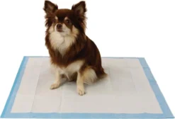 Easypets Puppy Training Pads - Zindelijkheidstraining - Hondentoilet - 58 X 58 Cm - 105 Stuks 8 Easypets Puppy Training Pads - Zindelijkheidstraining - Hondentoilet - 58 X 58 Cm - 105 Stuks -Hondenartikelen Winkel 1200x814