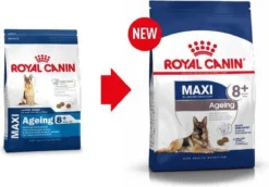 Royal Canin Maxi Ageing 8+ 15 KG 22 Royal Canin Maxi Ageing 8+ 15 KG -Hondenartikelen Winkel 1200x836