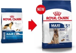Royal Canin Maxi Adult 5+ Jaar Oud - Hondenvoer - 15 Kg -Hondenartikelen Winkel 1200x837